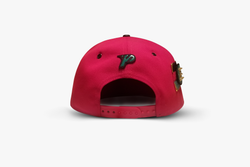BRAND - PSA  BLACK HISTORY MONTH COMMEMORATIVE SNAPBACK
